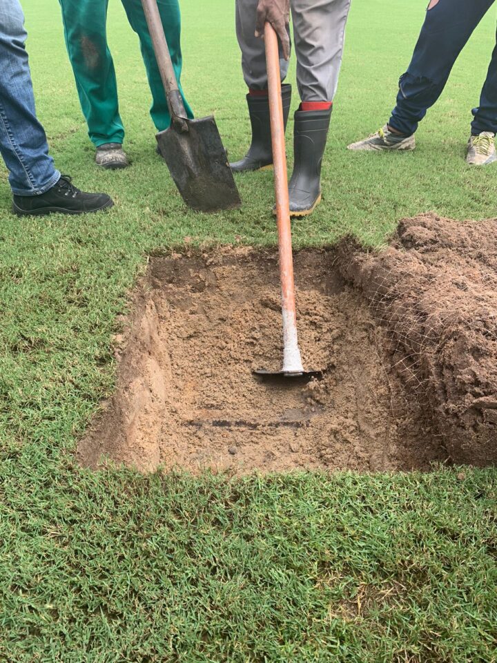 Drenagem, cadeiras, obras no gramado e mais: Sport detalha reformas e planos para Ilha 1 Posts