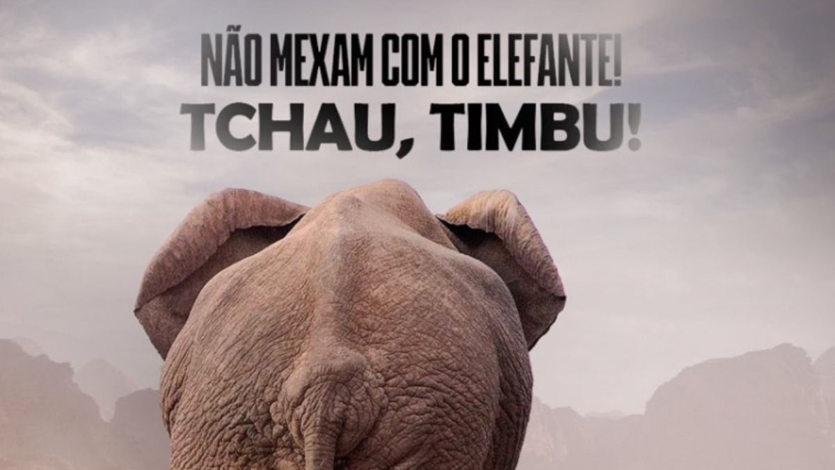 Após classificação, ABC zoa Náutico nas redes sociais: “Tchau, Timbu!”