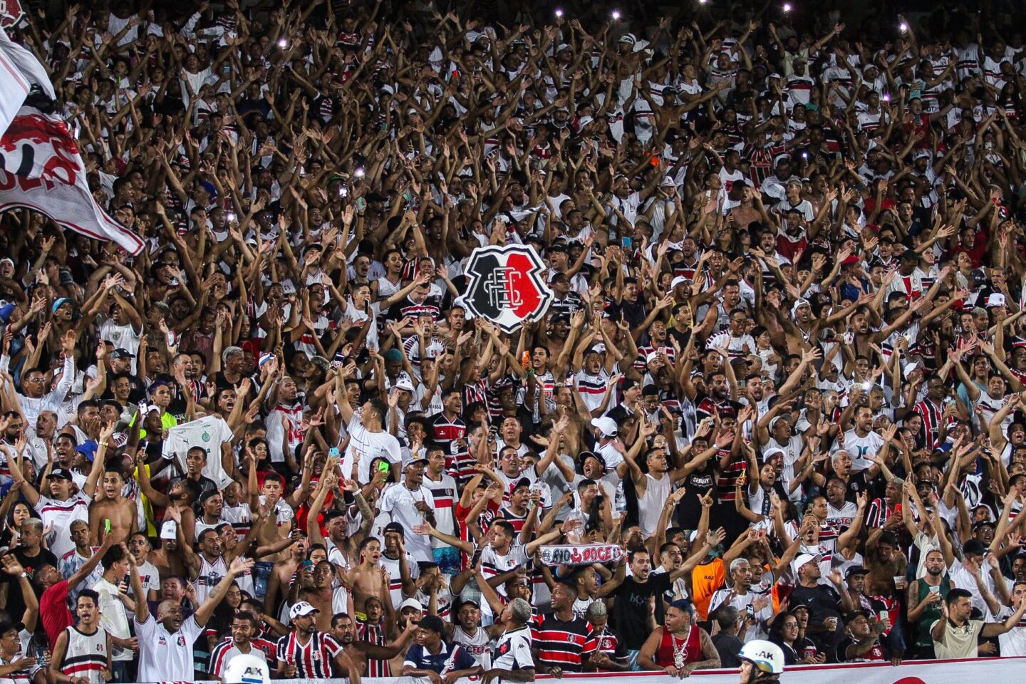 Torcida do Santa Cruz em jogo no Arruda