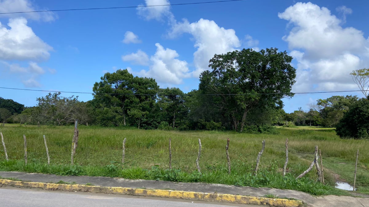 Sport assina termo de compromisso para compra de terreno com 14 hectares visando ampliar CT: “Fabrica de talentos”