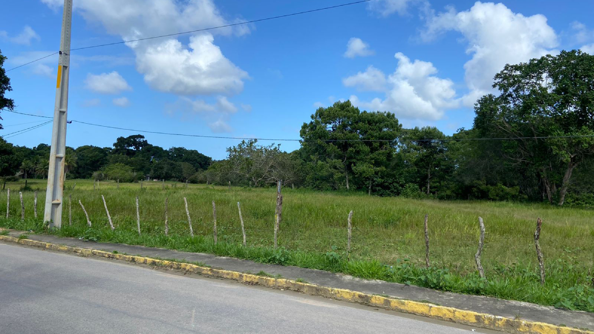 Sport analisa compra de terreno para ampliação do CT; aquisição precisa da aprovação do conselho 1 Posts