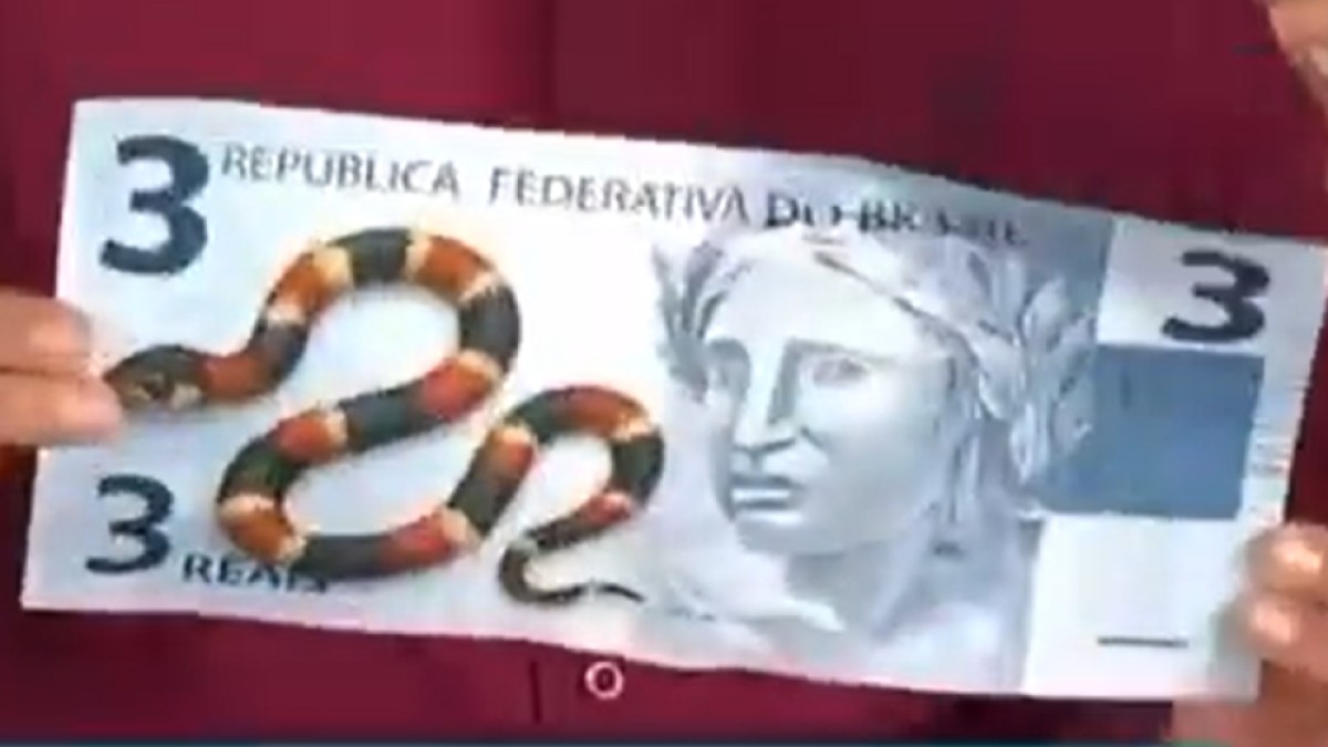 Vice-presidente do Sergipe provoca Santa Cruz: "Essa cobra coral não vai picar ninguém"; Gipão emite nota 1 Sergipe provoca o Santa Cruz com uma nota de 3 reais