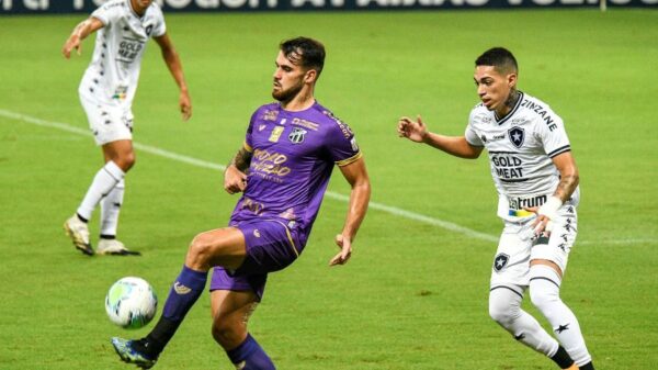 Felipe Vizeu - Série A - Botafogo - Ceará 