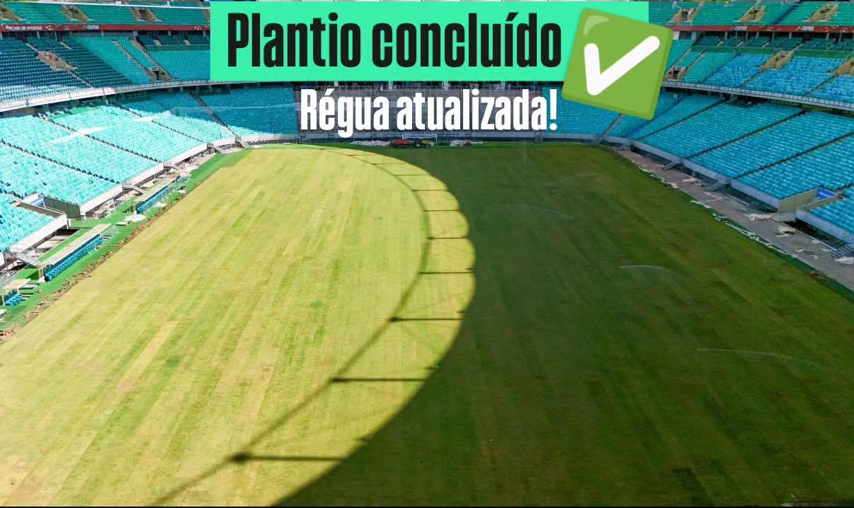 Plantio do novo gramado da Arena Fonte Nova é concluído