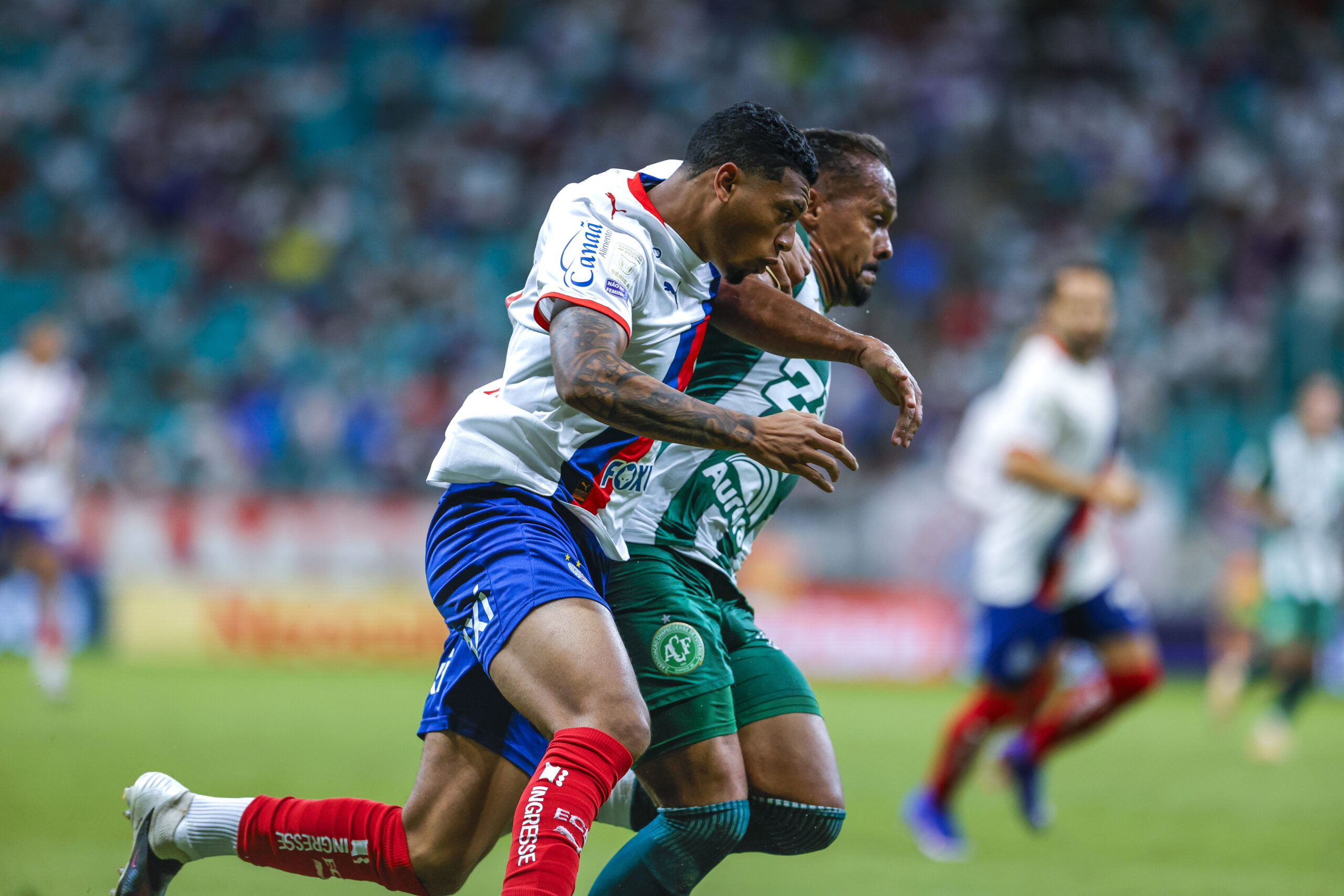 Bahia faz dois ainda no primeiro tempo e vence Chapecoense em partida atrasada da Série A 3 Foto: Rafael Rodrigues/EC Bahia